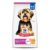 Hill’s Science Diet Small & Mini, Adult 1-6, Small & Mini Breeds Premium Nutrition, Dry Dog Food, Chicken & Brown Rice, 4.5 lb Bag by Hill’s Science Diet