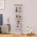 LFT HUIMEI2Y Glass Display Cabinet 4-Shelf with Door and Lock, Curio Cabinets Upgraded Quick-Install Style Tempered Glass Floor Standing Bookshelf for Bedroom, Living Room 65”x… by LFT HUIMEI2Y