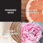 Lucky Brand Lucky You Perfume for Women, Eau De Toilette Day or Night Spray with Fresh Flower Citrus Scent, 3.4 fl oz by Lucky Brand