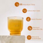 M&SENSE 9.88oz Natural Soy Wax Jar Candle with Wooden Wick | Carrot Cheesecake Scent | 55-Hour Burn & Long-Lasting Burn | Easter Candle Gift by M&SENSE