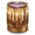 Melting Heater Electric Burning Wax Burner Electric Essential Oil Warmer Incense Wax Melt Warmer Night Light Aroma Decorative Lamp for Gifts & Decor(Golden) by Leyoue