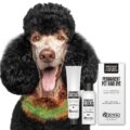 OPAWZ Permanent Dog Hair Dye, Pet Hair Dye Safely Used by Grooming Salons for a Decade, Pet Safe Dye Lasts Over 20 Washes, Bright Color for Dogs and Horses (Super Black) by OPAWZ