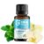 OraRestore Bad Breath Treatment for Adults Halitosis: Dentist Formulated Oral Rinse Concentrate Tooth Oil Liquid Toothpaste, Fresh Breath Mouthwash for Dry Mouth, Oral Care,… by Great Oral Health