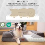 Orthopedic dog beds in different colors by