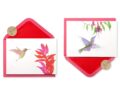 Papyrus Blank Cards with Envelopes, Watercolor Hummingbirds (20-Count) by Papyrus