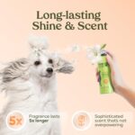 PAWFUME Dog Perfume Spray Long Lasting Scent for Grooming, Show Dog, 1-Pack – Keep Your Pup Fresh All Day – Hypoallergenic, Alcohol-Free, Detangling & Moisturizing –... by Paw Fume