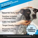 Pet Honesty Chlorhexidine Cat & Dog Seasonal Itch Relief Shampoo, for Allergies, Itching, Skin and Coat Supplement, Helps Shedding, Hot Spots, Deodorizing Dog Shampoo & Grooming... by Pet Honesty