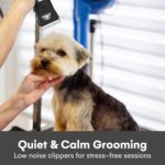Pet Union Professional Dog Grooming Kit - Cordless Low Noise Dog Clippers for Grooming Thick Coats - All Pet Safe Cat Hair Trimmer - Pet Grooming Kit Includes Dog Hair Clippers,... by Pet Union