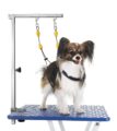 Petbobi Dog Grooming Arm with Clamp and Dual No Sit Haunch Holders, Height Adjustable 18 to 32 inches, Strong Stainless Steel Foldable Pet Grooming Table Arm Overhead for Small… by Petbobi