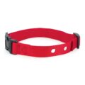 PetSafe Replacement Collar Strap with 2 Holes – Adjustable Design for In-Ground & Wireless Fence Collars – Lightweight Polyester – Secure, Comfortable Fit by PetSafe
