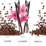 Pheromone Perfume for Women&Men, No. 91, Inspired by Black 0piu/m, Vanilla, Coffee, Amber, White Flowers, Sweet Spices Notes. Pheromone Cologne for Men&Women, 0.6 fl.oz,Travel Size by Burst Bird
