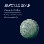 PHYTOMER Natural Seaweed Soap Bar | Cleansing & Exfoliating Body Soap | Eliminates Dead Skin Cells | Moisturizing Body Cleanser | 150 gr by