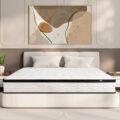 Queen Mattress 10 Inch | Queen Size Hybrid Mattresses in a Box | Medium Firm Feel Memory Foam and Individual Pocket Springs | Fiberglass Free Bed Matress | Breathable |… by MOLBIUS