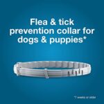 Seresto Large Dog Vet-Recommended Flea & Tick Treatment & Prevention Collar for Dogs Over 18 lbs. | 8 Months Protection by Seresto