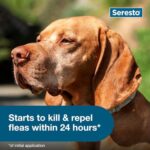 Seresto Large Dog Vet-Recommended Flea & Tick Treatment & Prevention Collar for Dogs Over 18 lbs. | 8 Months Protection by Seresto