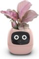 Smart Flowerpots,Smart Pet Planter,Ai Planter,Intelligent Flowerpots,Multiple Expressions,7 Smart Sensors, and Ai Chips Make Raising Plants Easy and Fun for Living… by Itigoitie