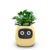 Smart Flowerpots,Smart Pet Planter,Ai Planter,Intelligent Flowerpots,Multiple Expressions,7 Smart Sensors, and Ai Chips Make Raising Plants Easy and Fun for Living… by Itigoitie
