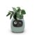 Smart Flowerpots,Smart Pet Planter,Ai Planter,Intelligent Flowerpots,Multiple Expressions,7 Smart Sensors, and Ai Chips Make Raising Plants Easy and Fun for Living… by Itigoitie