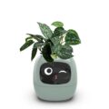 Smart Flowerpots,Smart Pet Planter,Ai Planter,Intelligent Flowerpots,Multiple Expressions,7 Smart Sensors, and Ai Chips Make Raising Plants Easy and Fun for Living… by Itigoitie
