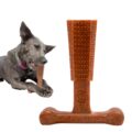 SPOT Bam-Bones Plus T-Bone, Bamboo Fiber & Nylon Dog Chew, Durable for Aggressive Chewers, Non-Splintering, for Adult Dogs & Teething Puppies Under 60lbs, 6in, Beef Flavor by SPOT