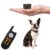 Tiniest Dog Shock Collar, Lightest Dog Training Collar with Remote for Small Dogs 5-15lbs & Medium Large Dogs/Puppies, Waterproof, Rechargeable, 1300ft Range (Orange&Ultra Tiny) by UbaNinva