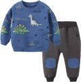 Toddler Baby Boy Clothing Sets Little Dinosaur Printed Long Sleeve Tops and Pants Kids 2pcs Outfits by Avidqueen