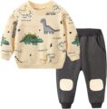 Toddler Baby Boy Clothing Sets Little Dinosaur Printed Long Sleeve Tops and Pants Kids 2pcs Outfits by Avidqueen