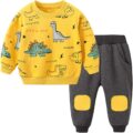 Toddler Baby Boy Clothing Sets Little Dinosaur Printed Long Sleeve Tops and Pants Kids 2pcs Outfits by Avidqueen
