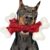 Tough Dog Toys, Toys for Aggressive Chewers Large Breed, Chew Dogs, Bone Toy Nylon Dogs Almost Indestructible by Kseroo