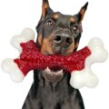 Tough Dog Toys, Toys for Aggressive Chewers Large Breed, Chew Dogs, Bone Toy Nylon Dogs Almost Indestructible by Kseroo