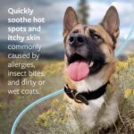 Veterinary Formula Clinical Care Hot Spot & Itch Relief Medicated Spray, 8oz – Easy to Use Spray for Dogs & Cats – Helps Alleviate Sensitive Skin, Scratching, and Licking of... by Veterinary Formula