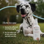 Veterinary Formula Clinical Care Hot Spot & Itch Relief Medicated Spray, 8oz – Easy to Use Spray for Dogs & Cats – Helps Alleviate Sensitive Skin, Scratching, and Licking of... by Veterinary Formula