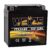 Weize YTX14 BS ATV Battery High Performance – Maintenance Free – Sealed AGM YTX14-BS Motorcycle Battery compatible with Honda Suzuki Kawasaki Yamaha scooter snowmobile by WEIZE