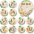 Wooden Baby Monthly Milestone Cards Double Sided Baby Birth Announcement Sign, Hello World Milestone Sign Discs Pregnancy and Baby Shower Gifts for Newborn Photo Props by XLSXEXCL
