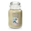 Yankee Candle Sage & Citrus Scented, Classic 22oz Large Jar Single Wick Candle, Over 110 Hours of Burn Time, Ideal for Home Decor and Gifts by Yankee Candle