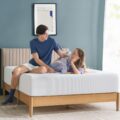 ZINUS 10 Inch Green Tea Cooling Memory Foam Mattress [New Version], Queen, Fiberglass Free, Medium Firmness, Cooling Gel Foam, Certified Safe Foams & Fabric, Mattress in A Box by ZINUS